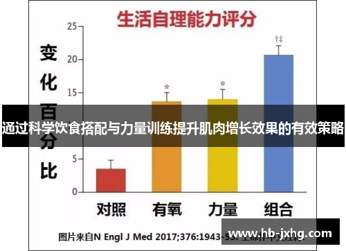 通过科学饮食搭配与力量训练提升肌肉增长效果的有效策略