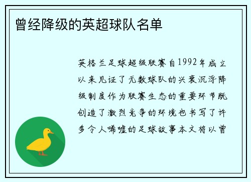 曾经降级的英超球队名单