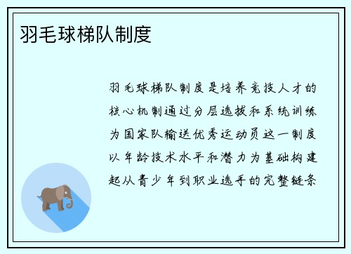羽毛球梯队制度